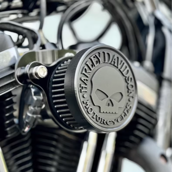 Black Skull Air Cleaner Kit
